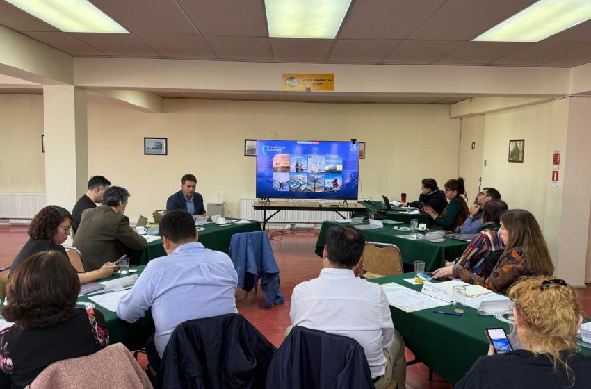  Comité de Desarrollo Productivo avanza en planificación estratégica para impulsar empresas regionales