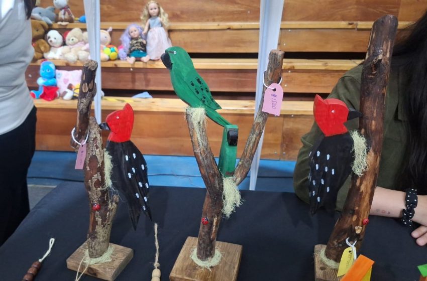  Emprendedoras fueguinas fortalecen comercialización en séptima Feria Intercultural Bazar Prodemu