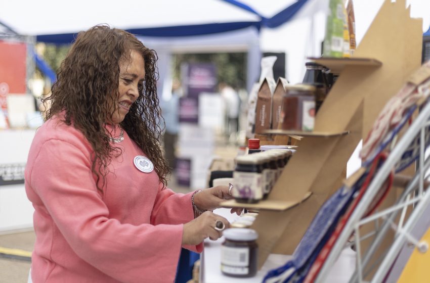  Chile Emprende centraliza toda la oferta pública de apoyo a mipymes en una plataforma