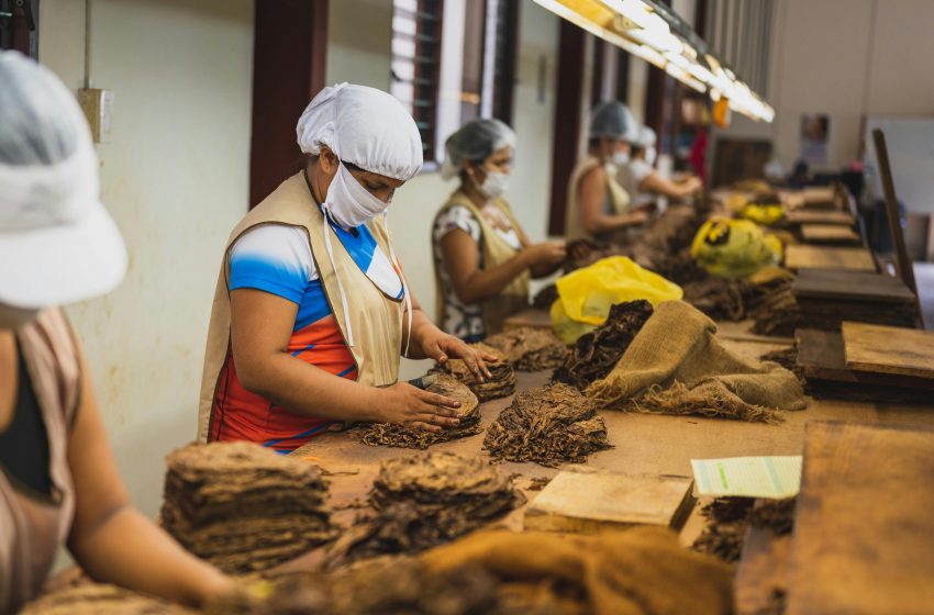  Mujeres emprendedoras transforman sectores estratégicos mediante liderazgo sostenible