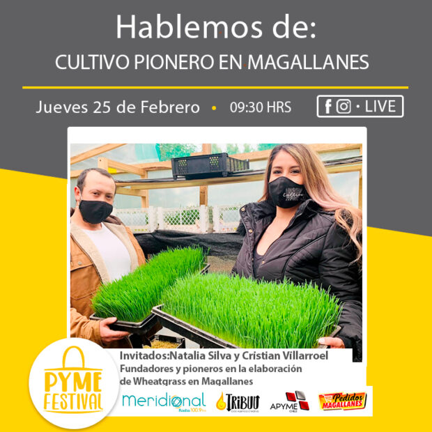  PymeFestival: Cultivo Pionero en Magallanes