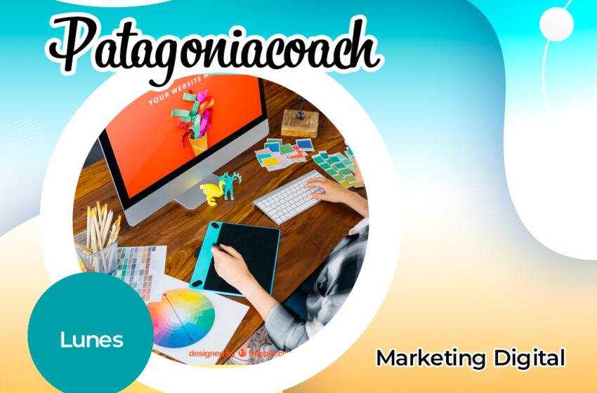  Patagonia coach: Marketing digital para emprendedores