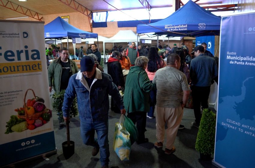  Feria Gourmet 2025-2026 genera $31 millones en ventas para 28 productores locales