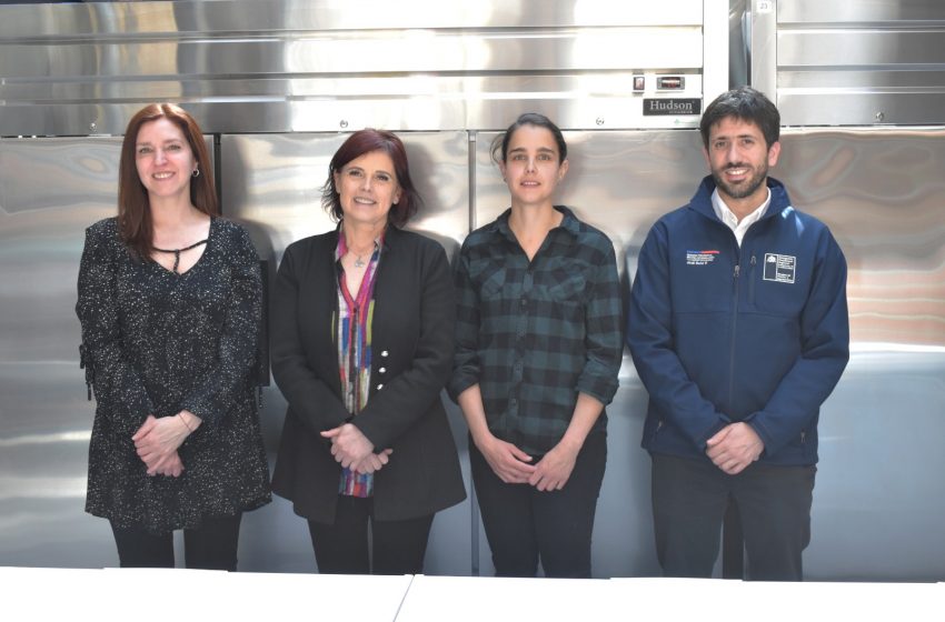  DFL-15 abre convocatoria 2026: bonificación 20% para inversiones productivas de pymes magallánicas