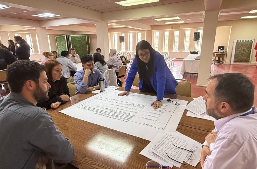  CDPR Magallanes prioriza sectores productivos para asignación presupuesto 2026